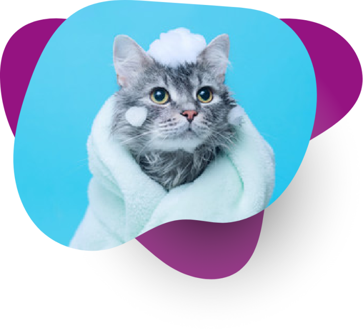 Official UK Pet MIcrochip Database WeTrace